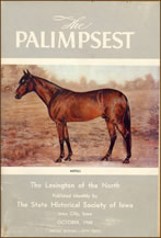 cover of the palimpsest book